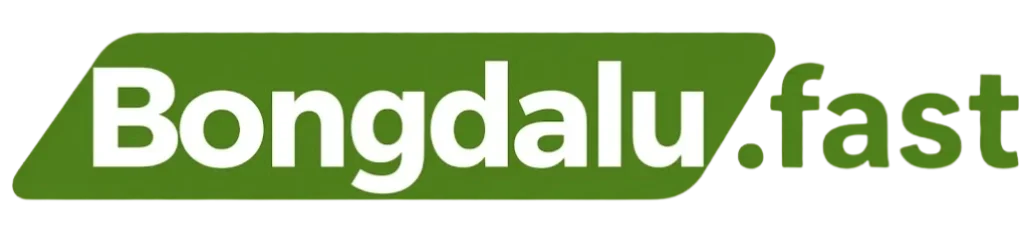 dhfi.io